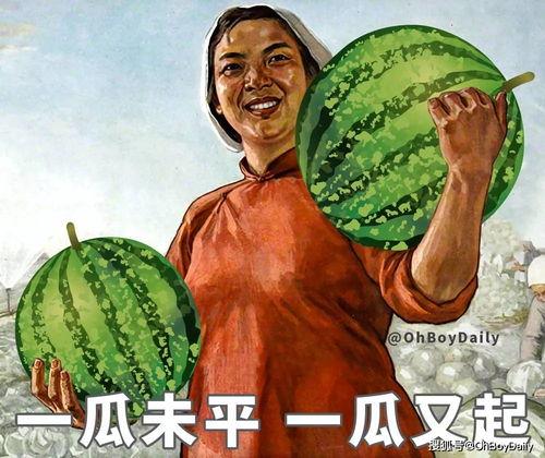 娱乐吃瓜图鉴在哪看,全网热门内容一键掌握