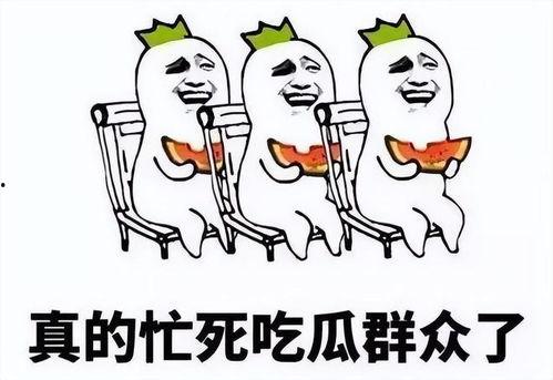 吃瓜的一天什么意思,网络热词背后的社会现象
